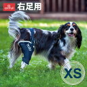 サポーターに内蔵された2本のスプリントで、高い安定感を実現した犬用膝サポーター。■使用素材・ポリウレタン・レーヨン・ポリエステル・ナイロンBT JUMPで愛犬の膝関節のブレを制限します。※パッケージデザインは予告無く変更になる場合があります。※転売目的で購入することはお控えください。※　仮に転売目的での購入と判明した場合には、　売買契約の解除等の措置を取ります。