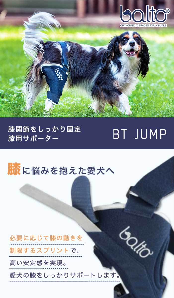 BT JUMP (膝サポーター) 右 XLサイズ 愛犬の膝のトラブルに 膝関節サポーター バルト 送料込 2