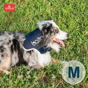 BT NECK (首サポーター)Mサイズ 頸椎サポーター 送料込 犬用品 犬用 犬 小型犬 首 頸椎 サポーター 固定 制限 首コルセット コルセット 犬用首サ...