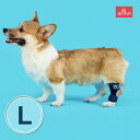 BT HOCK (足根関節サポーター)Lサイズ 送料込 犬 犬用 犬用サポーター 足根関節 足首 後肢 固定 制限 歩行補助 足根関節サポーター 足首サポーター...