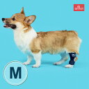 BT HOCK (足根関節サポーター)Mサイズ 送料込 犬 犬用 犬用サポーター 足根関節 足首 後肢 固定 制限 歩行補助 足根関節サポーター 足首サポーター...