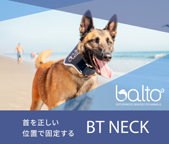 【anifull 公式】【レンタルサービスわんトライ便+】BT NECK (首サポーター) 頸椎サポーター 送料込 犬用品 犬用 犬 小型犬 首 頸椎 サポーター 固定 制限 首コルセット コルセット 犬用首サポーター 犬用首コルセット 犬用コルセット 首の痛み XXS XS S M L 2