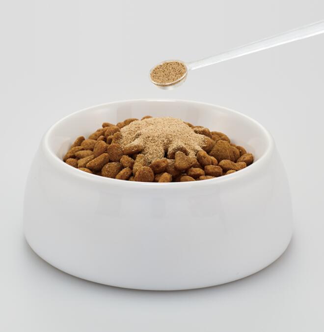 DHC 猫用 オーラルケア 50g 10個セット 送料込 サプリメント dhc 猫用 猫 ねこちゃん ネコ ネコ用 愛猫 ペット キャット ふりかけ 歯磨き 口内環境 無添加 健康補助食品 かつお節味 粉末 anifull-10024673 愛犬と一緒に歩くを叶えるanifull サンプル画像2