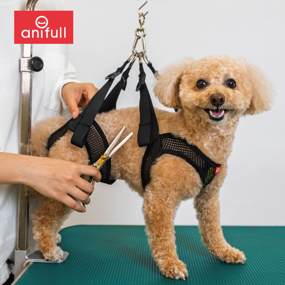 【anifull公式】 アニサポ ケアサポートホルダー 回転カラビナ付き 犬用 犬 トリミング トリミングサロン シャンプー サポート 小型犬 中型犬 ワンタッチ調節 気管に優しい 送料込