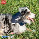 【anifull 公式】【レンタルサービスわんトライ便+】BT NECK (首サポーター) 頸椎サポーター 送料込 犬用品 犬用 犬 小型犬 首 頸椎 サポータ...