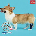 【anifull 公式】【レンタルサービスわんトライ便+】BT HOCK (足根関節サポーター) 送料込 犬 犬用 犬用サポーター 足根関節 足首 後肢 固定 ...