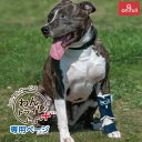 【anifull 公式】【レンタルサービスわんトライ便+】BT SPLINT (手根関節サポーター) ペット用足首サポーター バルト 送料込 犬用品 犬 犬用 ...