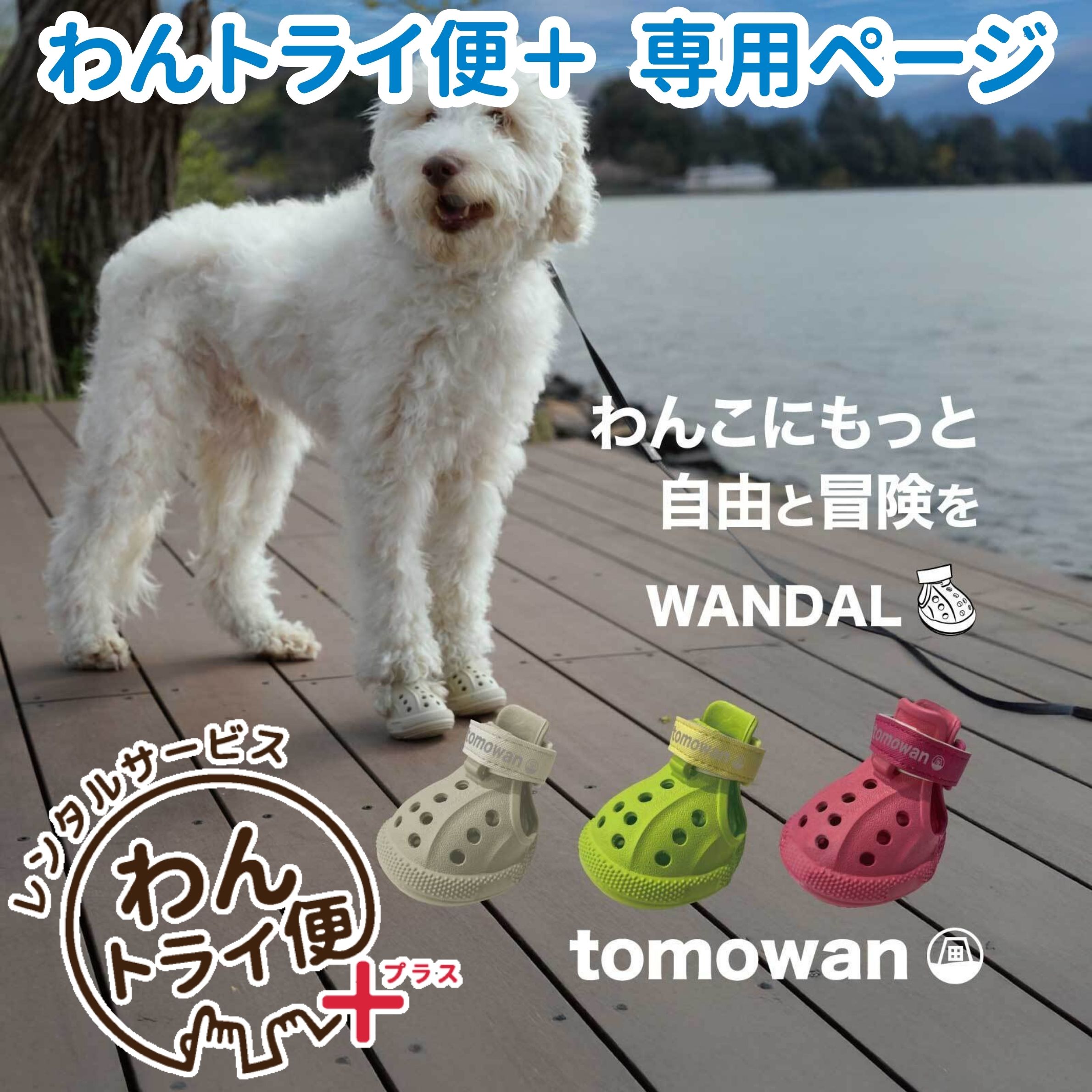 ��anifull ������ �ڥ�󥿥륵���ӥ����ȥ饤��+�� ����������ѥ��塼�� WANDAL�ʥ������ 4���� ���� ���塼�� ���� �� ���Ǥ��� ­��...