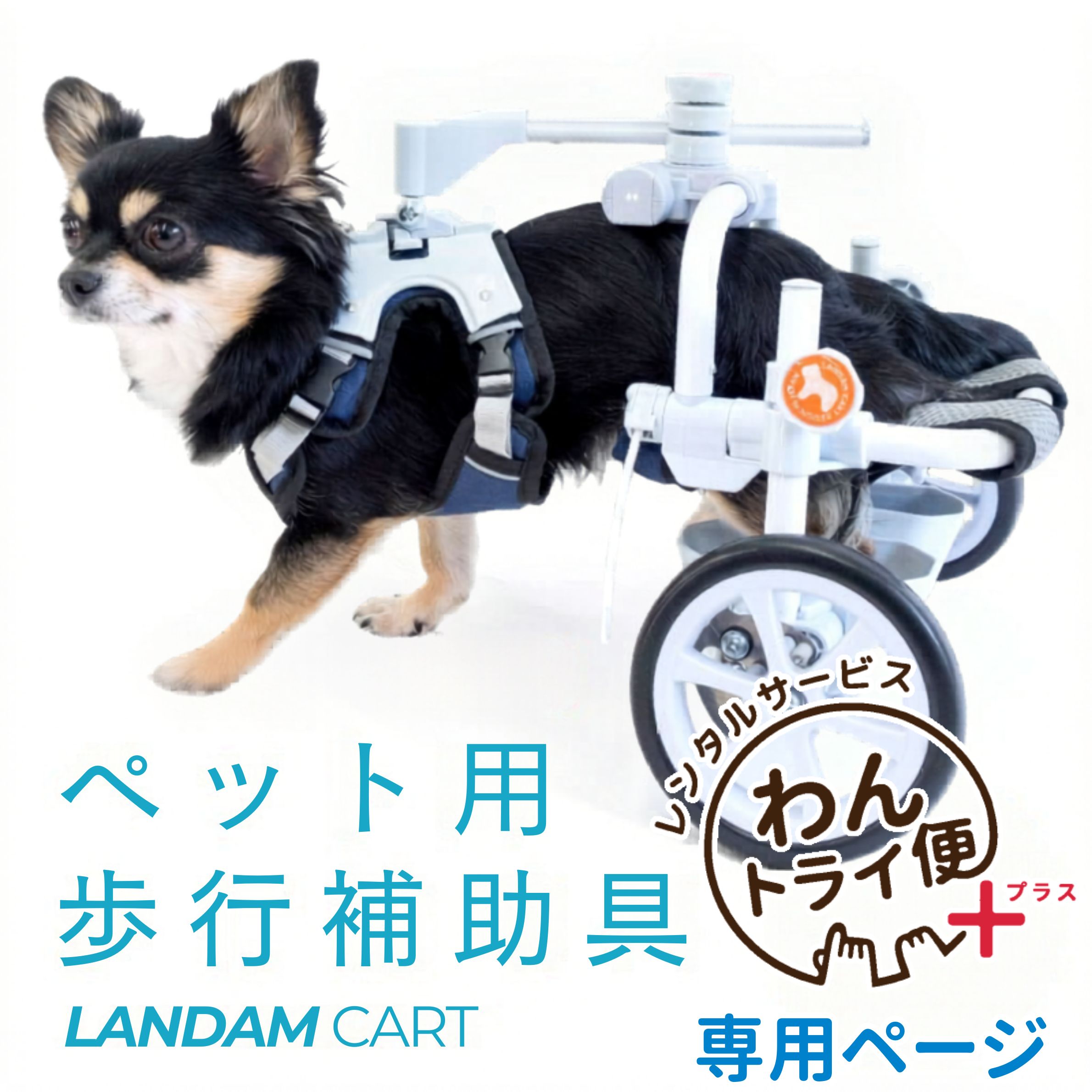【anifull 公式】【レンタルサービスわんトライ便+】犬用車椅子ランダムカート ア...