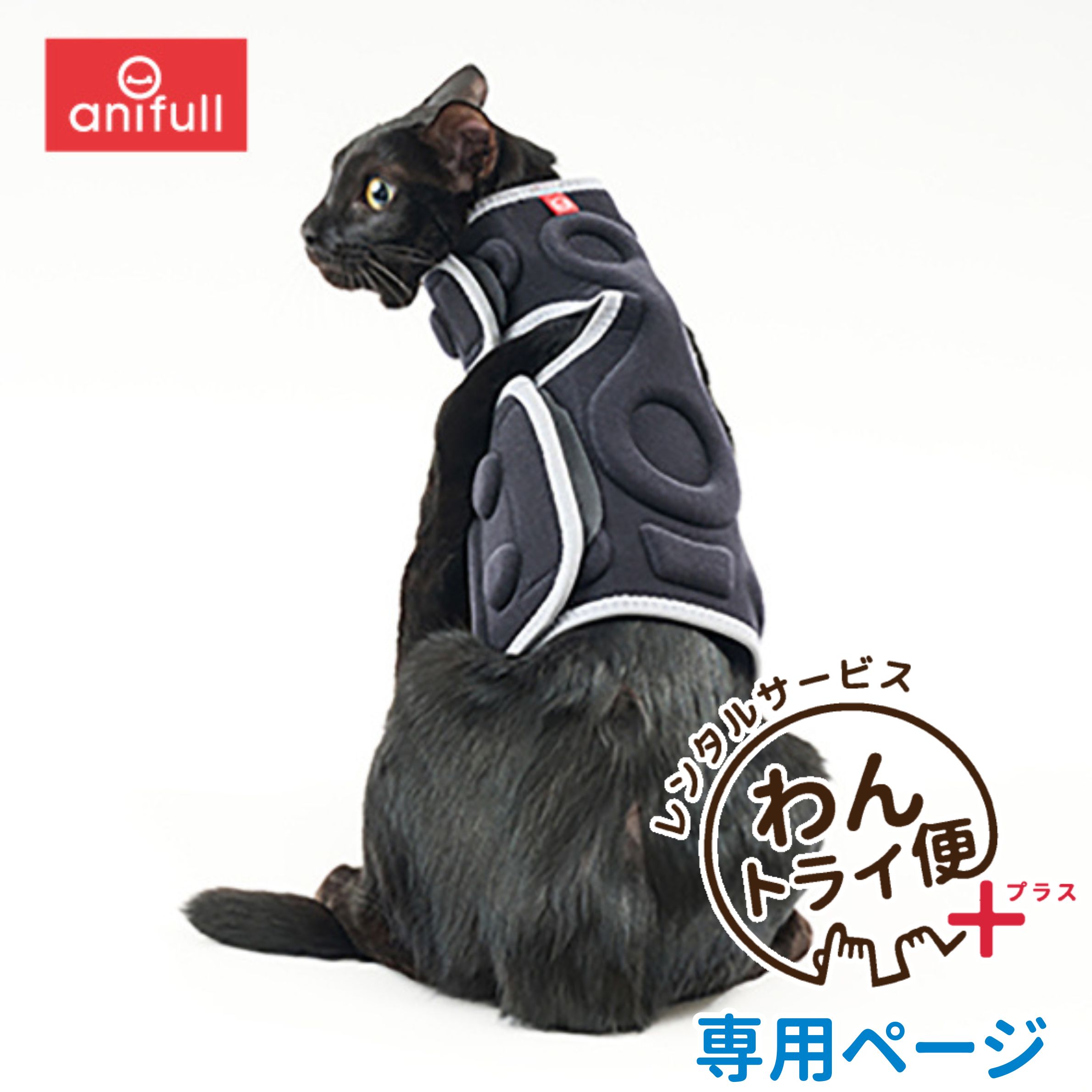 Rakuten - 【anifull 公式】 【レンタルサービスわんトライ便+】 アニサポ にゃんケアチョッキ アニフル 日本製 猫 猫用 爪切り 爪とぎ 暴れる 安全 安心 保定 耳掃除 目薬 爪切りチョッキ 可動域制限 軽量 コンパクト ひねり抑制 歯磨き おとなしく ピタリ ブラック レンタル