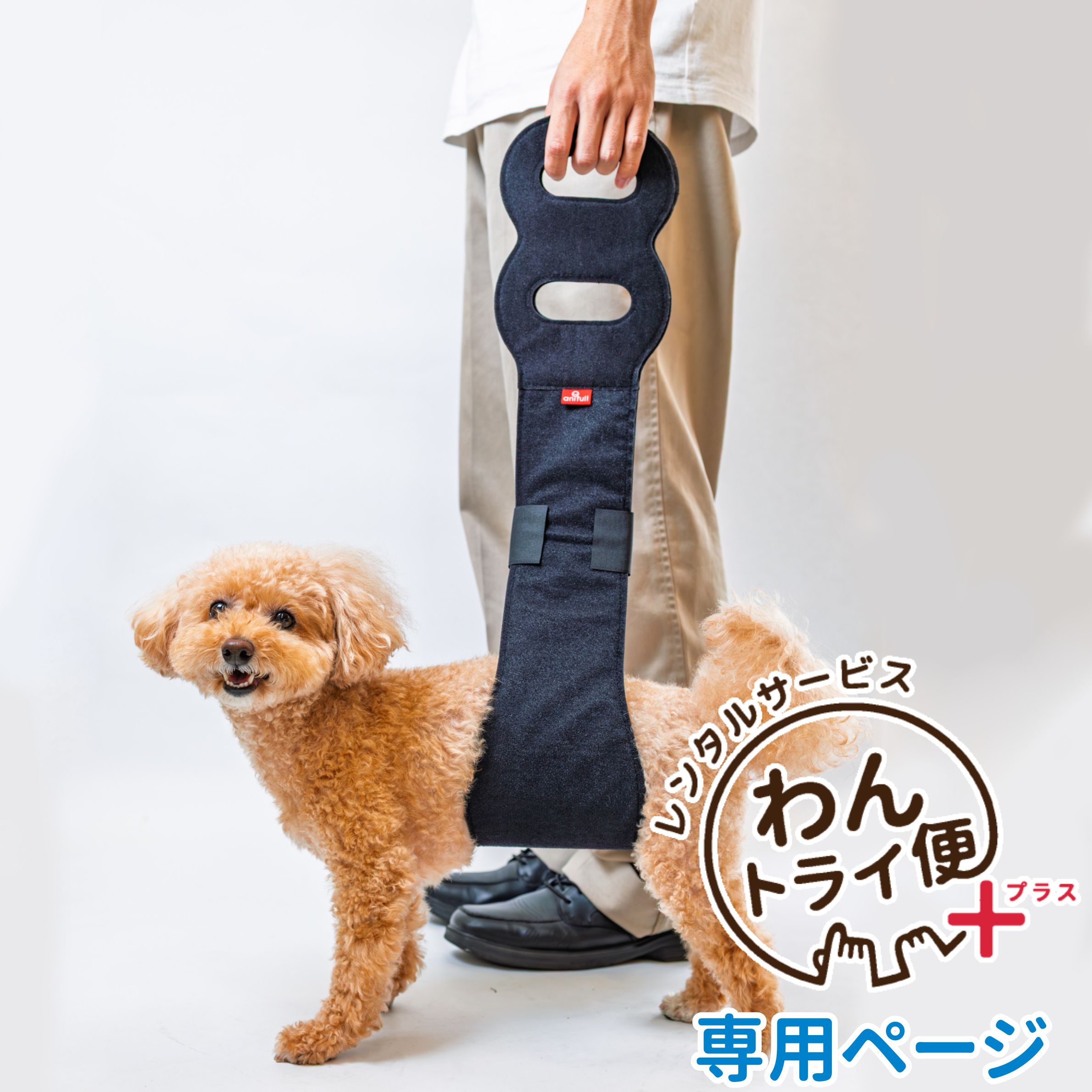 Rakuten - 【anifull 公式】 【レンタルサービスわんトライ便+】 アニフル (anifull) アニサポ 持ち上げベルト 小〜中型犬用 大型犬 介護 介護用 高齢 高齢犬 介助 歩行補助 脚力低下 筋力維持 筋力低下 トレーニング 小型犬 中型犬