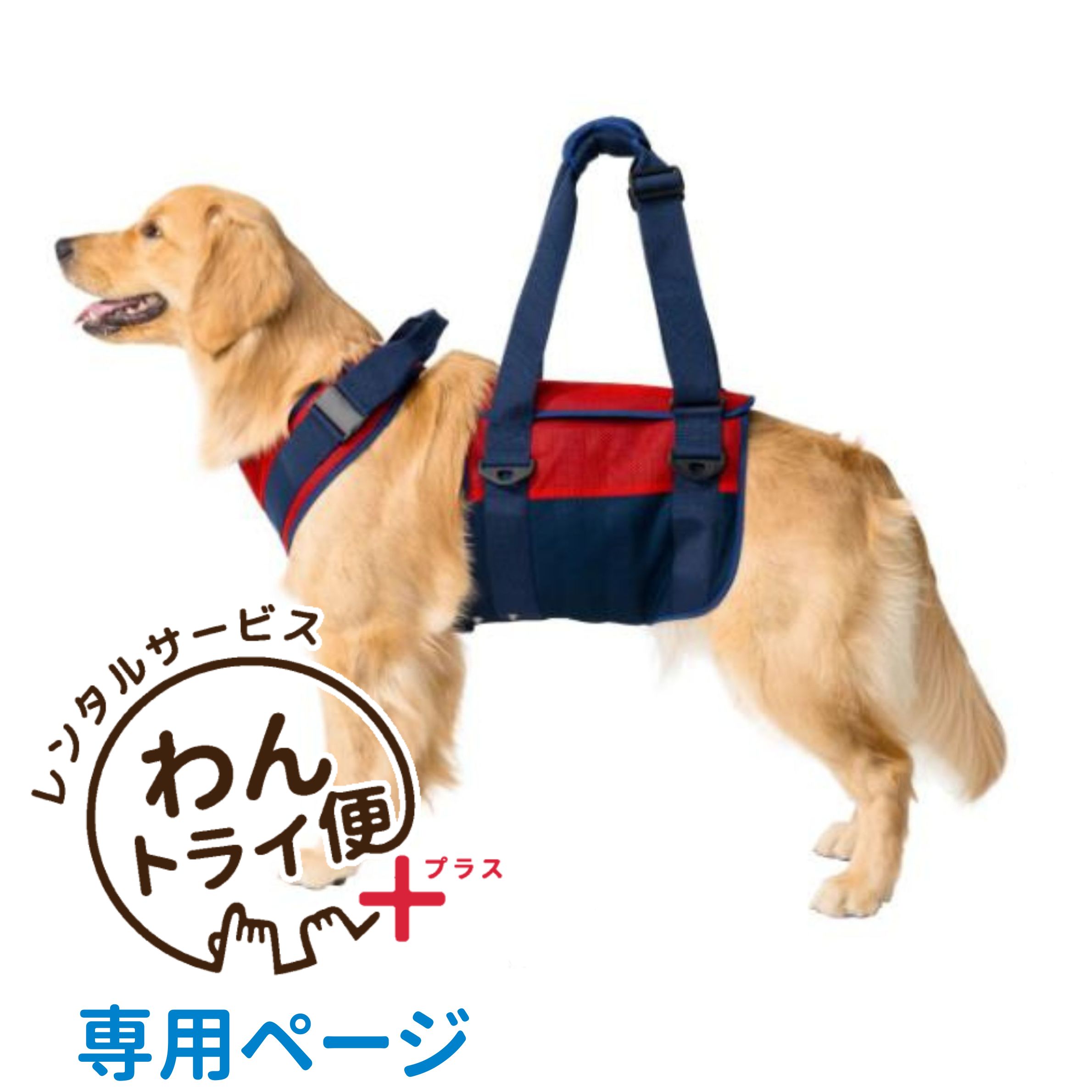 【anifull 公式】 【レンタルサービスわんトライ便+】介護ハーネス LaLaWalk 大型犬用 スカーレットメッシュ S M L LL 介護 歩行補助 シニア犬 起き上がり 介助 レンタル