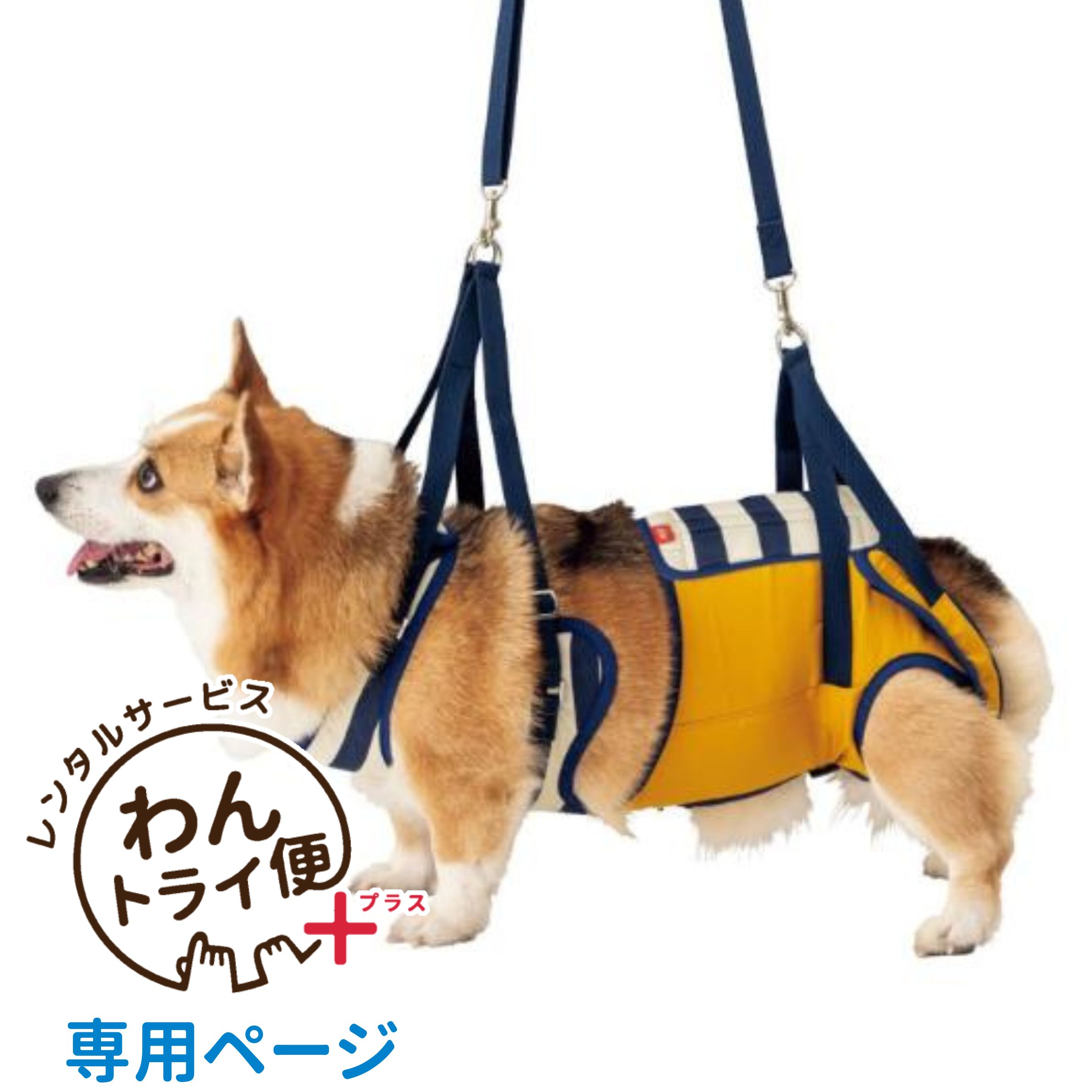 商品画像2