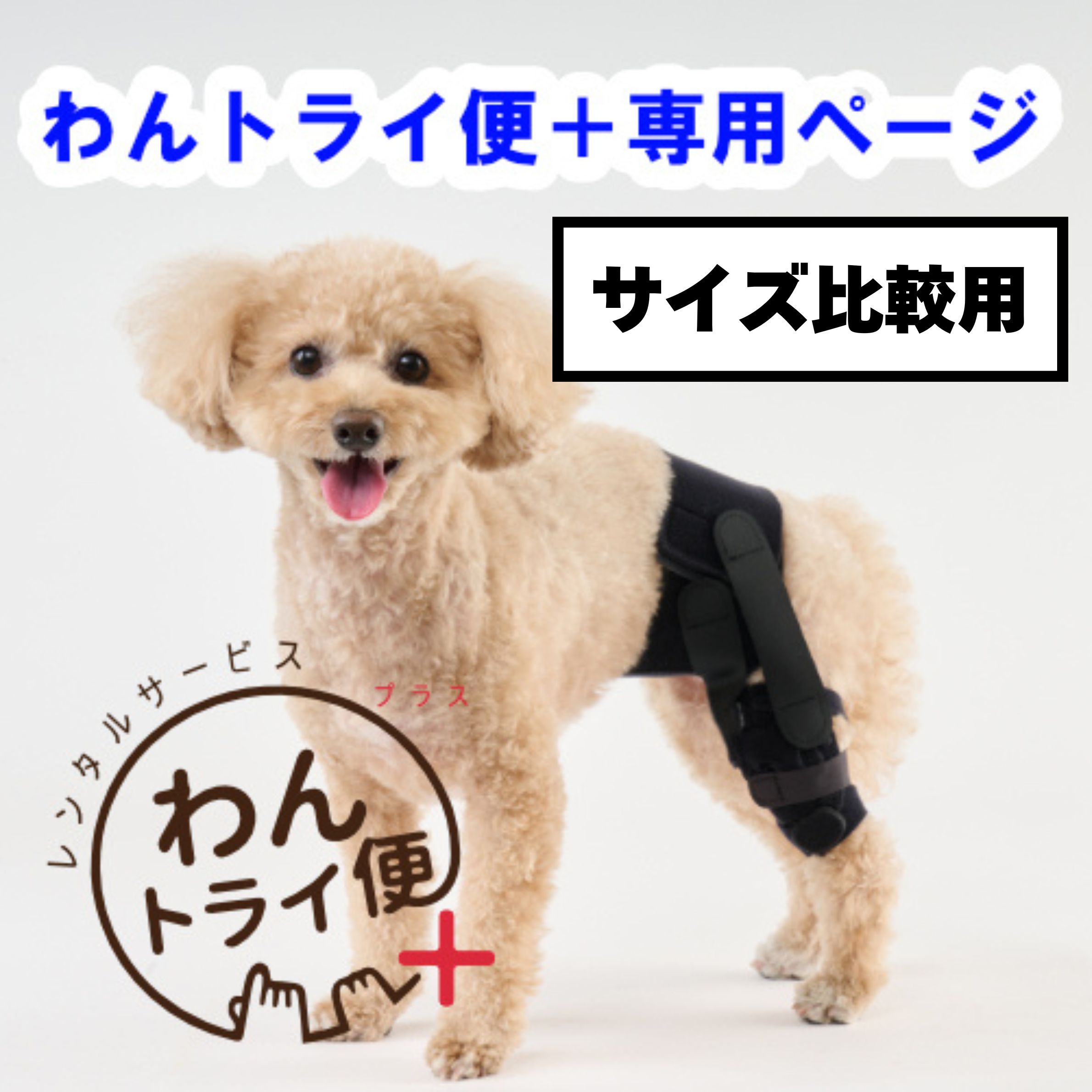 【anifull 公式】 【レンタルサービスわんトライ便+】【前後サイズ比較用】アニサポ パテラン レンタル 小型犬向け アニフル ダイヤ工業 日本製 犬用品 犬 犬用 パテラ 膝蓋骨脱臼 前十字靭帯 しっかり固定 膝パット 膝固定 洗濯可 簡易装着 お散歩 膝サポーター