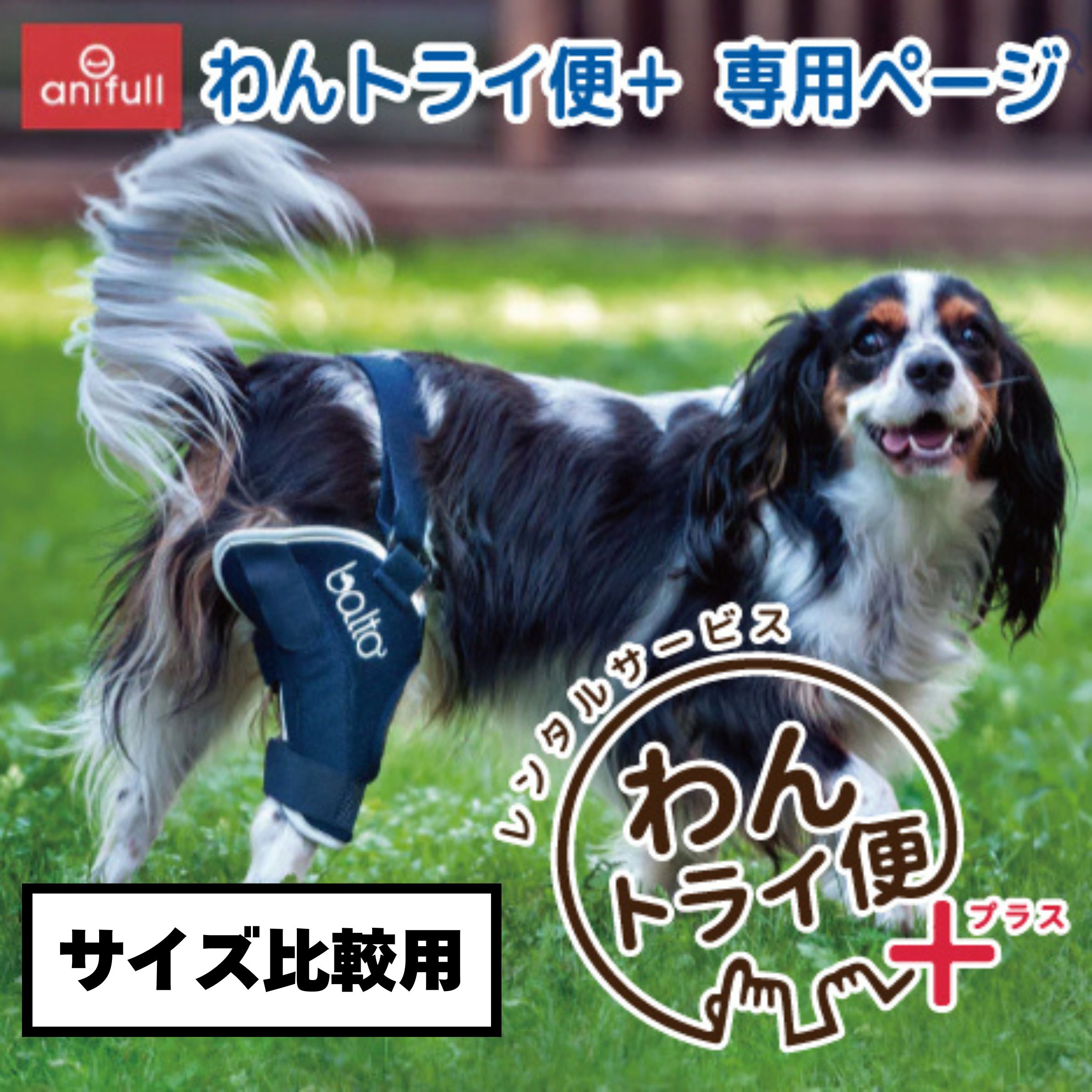 BT JUMP (膝サポーター) 愛犬の膝のトラブルに 膝関節サポーター バルト 膝 膝関節 圧迫 制限 固定 パテラ 着脱簡単 膝蓋骨 脱臼 亜脱臼 犬用 小型犬 中型犬 右膝 左膝 XXS XS S M L XL