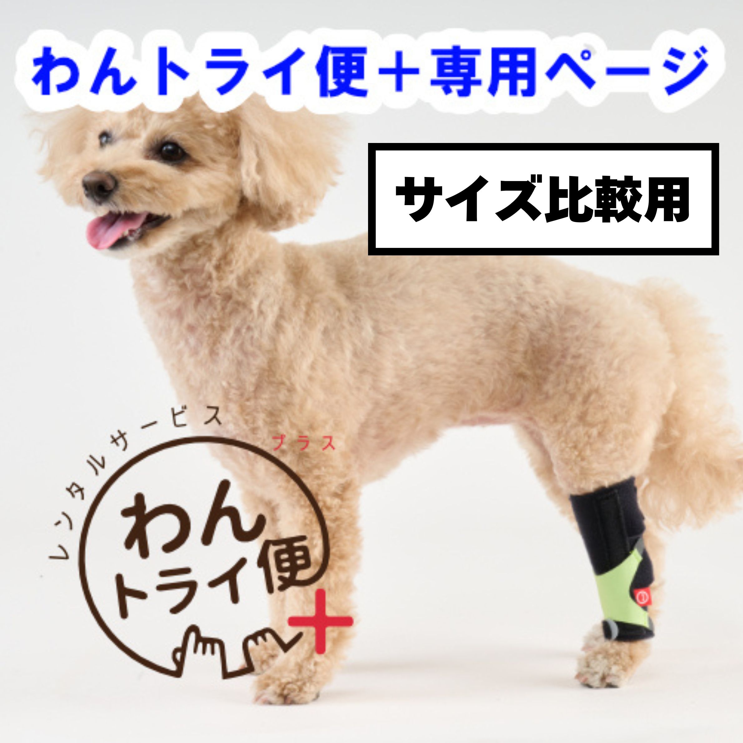 【anifull 公式】【レンタルサービスわんトライ便+】 【前後サイズ比較用】 アニサポ キック (手首・足首サポーター) アニフル 日本製 犬 犬用 犬用サポーター 関節炎 シニア犬 老犬 リハビリ 手根関節 手首 足根関節 足首 固定 制限 歩行補助 手首サポーター 足首サポーター
