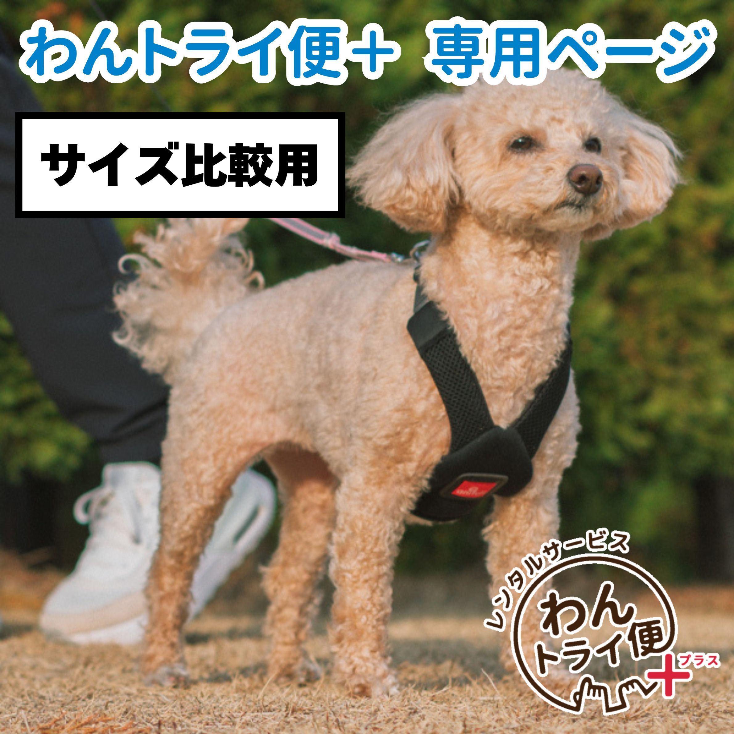Rakuten - 【anifull 公式】 【レンタルサービスわんトライ便+】【前後サイズ比較用】アニサポ ハーレストActive アニフル 日本製 犬用 犬 気管にやさしい ハーネス 気管 咳 犬用ハーネス 気管に優しい 散歩 おでかけ 胴輪 簡単装着 軽い 超小型犬 小型犬 中型犬 レンタル