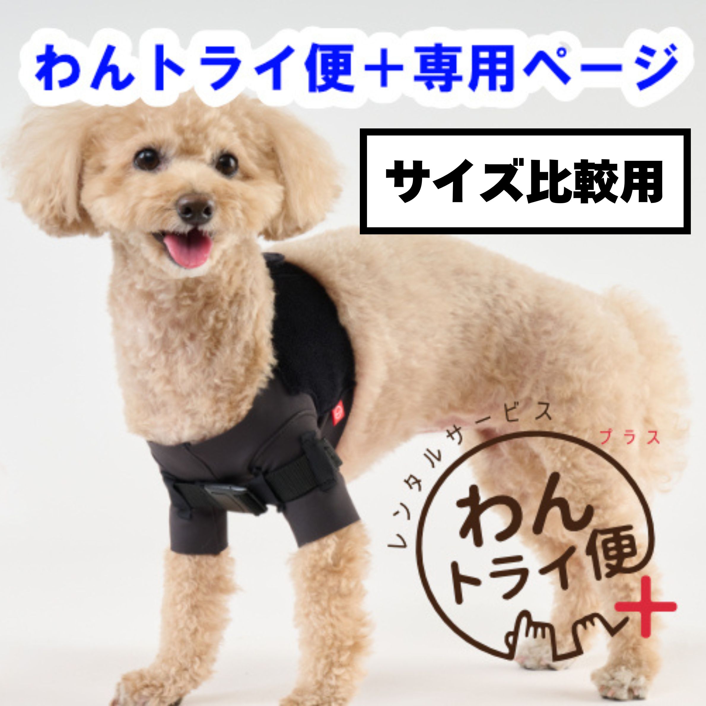 乐天商城 - 【anifull 公式】【レンタルサービスわんトライ便+】 【前後サイズ比較用】 アニサポ ショルダースリーブ 小型犬向け アニフル 日本製 外転制限 犬用品 犬 犬用 犬用肩サポーター 肩関節 肩 安静 固定 可動域 制限 歩行補助 外転 圧迫 簡単装着 シニア犬 老犬