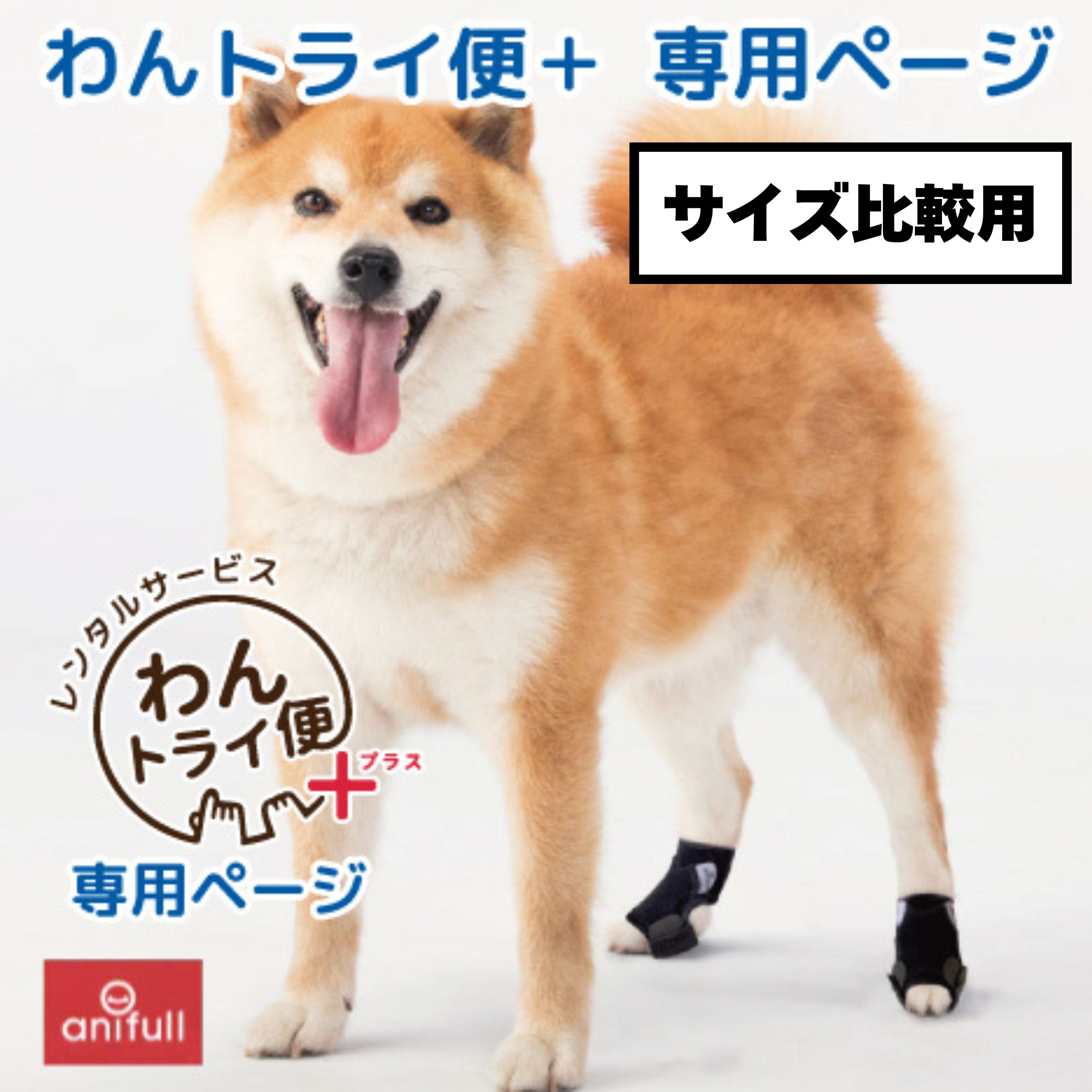 Rakuten - 【anifull 公式】【レンタルサービスわんトライ便+】【前後サイズ比較用】アニサポ ナックルン レンタル 左右セット 前・後足兼用 アニフル 犬用品 足 サポーター 爪 保護 つま先 足先 指先 肉球 滑り止め 擦る 跛行 介護 ナックリング 散歩 足先保護 火傷 防災 傷防止