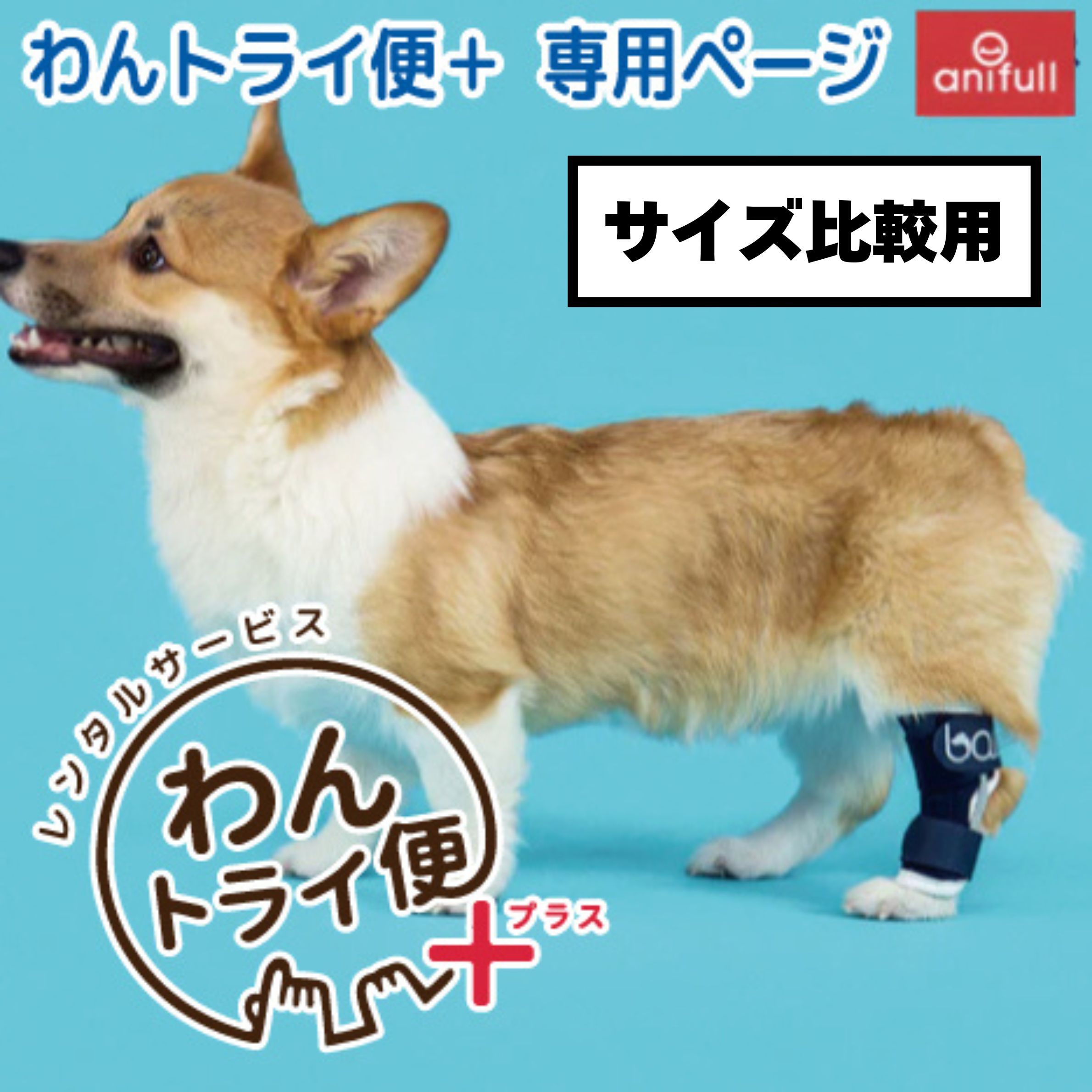 Rakuten - 【anifull 公式】【レンタルサービスわんトライ便+】【前後サイズ比較用】BT HOCK (足根関節サポーター) 送料込 犬 犬用 犬用サポーター 足根関節 足首 後肢 固定 制限 歩行補助 足根関節サポーター 足首サポーター 通気性 ハード ハードタイプ XXS XS S M L