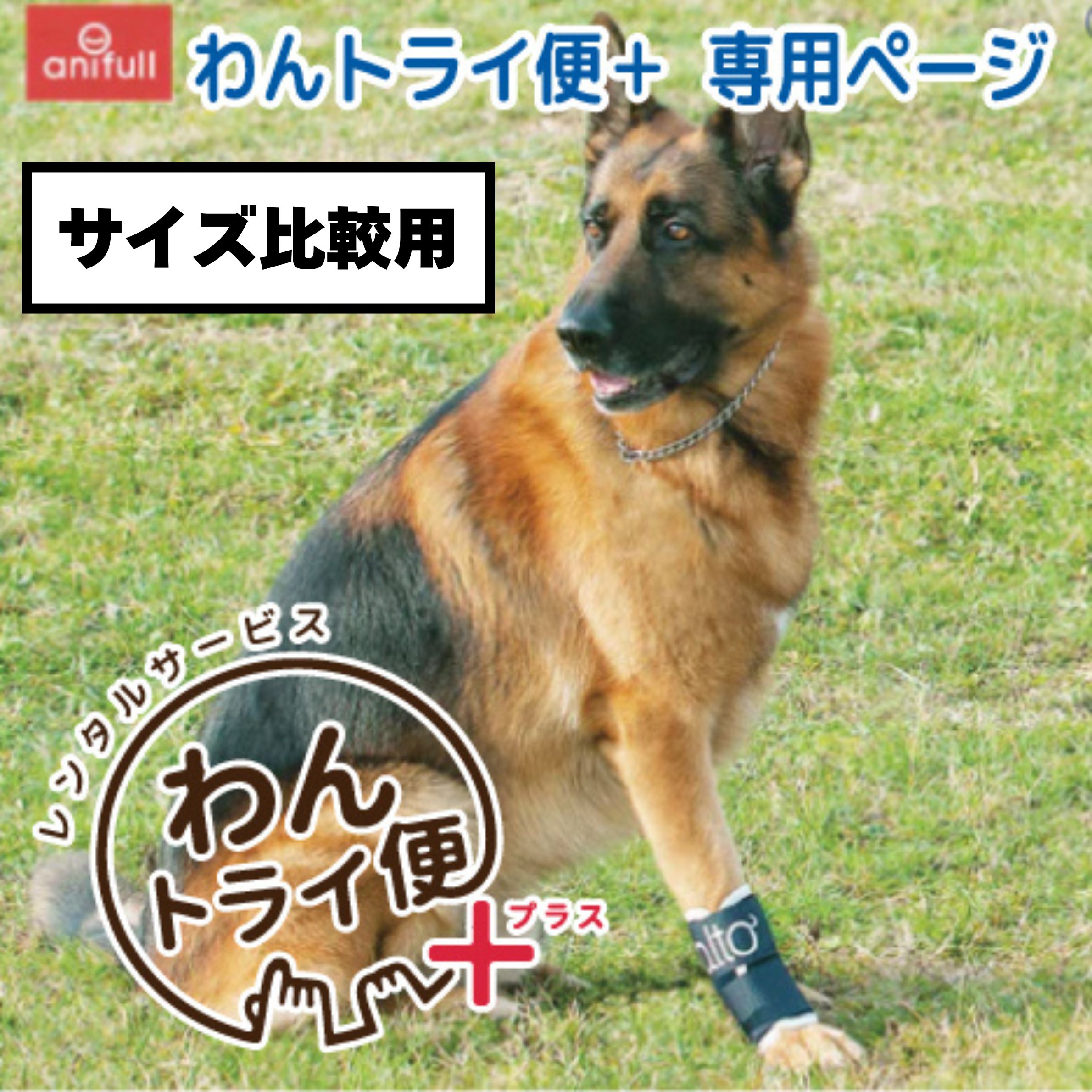 Rakuten - 【anifull 公式】【レンタルサービスわんトライ便+】【前後サイズ比較用】BT JOINT (手首サポーター) 愛犬の手首のサポート 犬用サポーター 送料込 犬用 小型犬 中型犬 大型犬 手根関節 手首 前足 前肢 固定 制限 歩行補助 手根関節サポーター 手首サポーター XS S M L