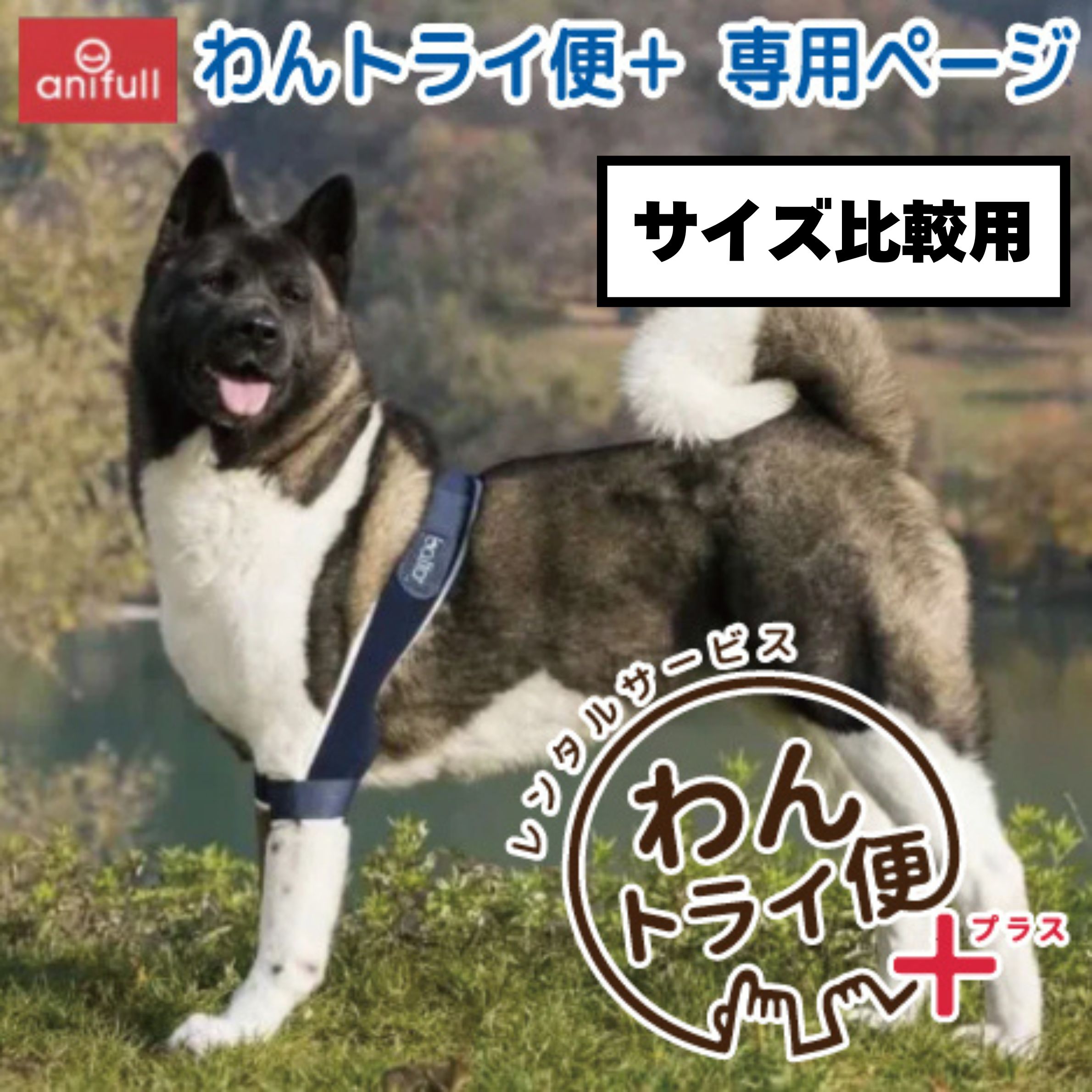 Rakuten - 【anifull 公式】【レンタルサービスわんトライ便+】 【前後サイズ比較用】BT SOFT PLUS (両肘関節クッションサポーター) BALTO バルト アニフル 両肘 肘 肘関節 左右 クッション 圧迫 サポーター 犬用品 犬用 犬 犬用肘 犬用肘サポーター 送料込 S M L 7日間のみ