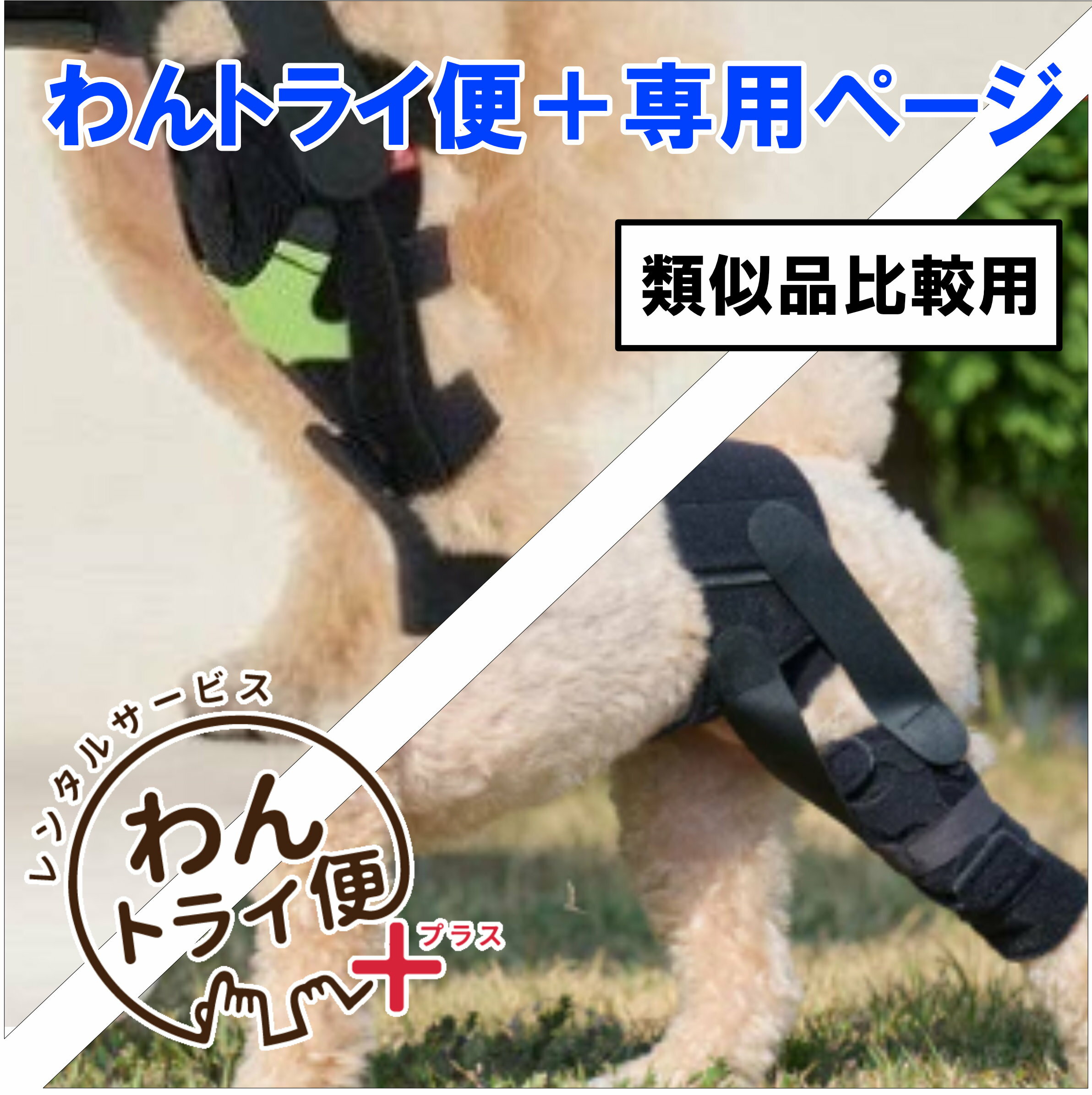 乐天商城 - 【anifull 公式】 【レンタルサービスわんトライ便+】【アニサポ パテラン＆アニサポ ニー　類似品比較用】 レンタル 小型犬向け アニフル ダイヤ工業 日本製 犬用品 犬用 パテラ 膝蓋骨脱臼 前十字靭帯 しっかり固定 膝パット 膝固定 洗濯可 簡易装着 お散歩 膝サポーター