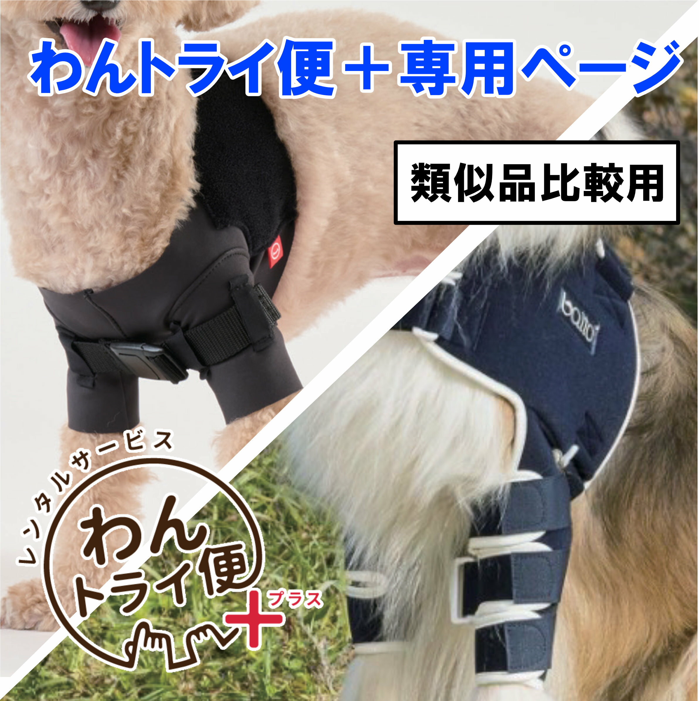 【anifull 公式】【レンタルサービスわんトライ便+】 【アニサポ ショルダースリー...