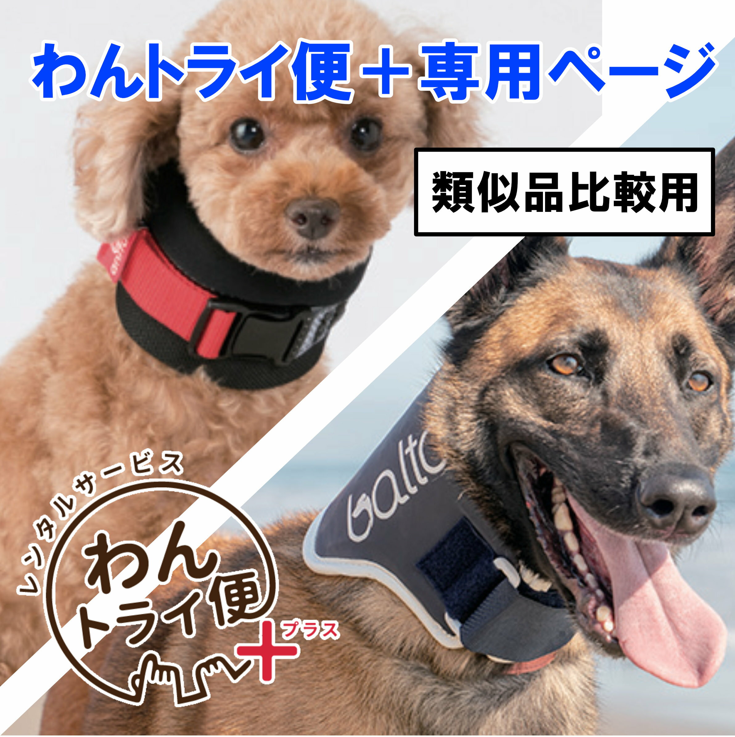 Rakuten - 【anifull 公式】【レンタルサービスわんトライ便+】【アニサポ ネック＆BT NECK 類似品比較用】 首サポーター 頸椎サポーター 犬用品 犬用 犬 小型犬 首 頸椎 サポーター 固定 制限 首コルセット コルセット 犬用首サポーター 犬用首コルセット 犬用コルセット 首の痛み