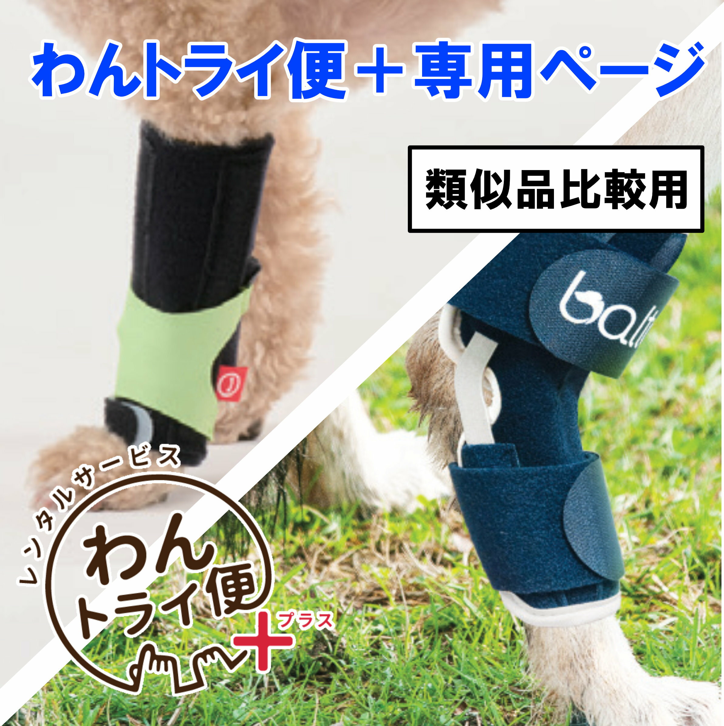 【anifull 公式】 【レンタルサービスわんトライ便+】【アニサポ キック＆BT HOCK...