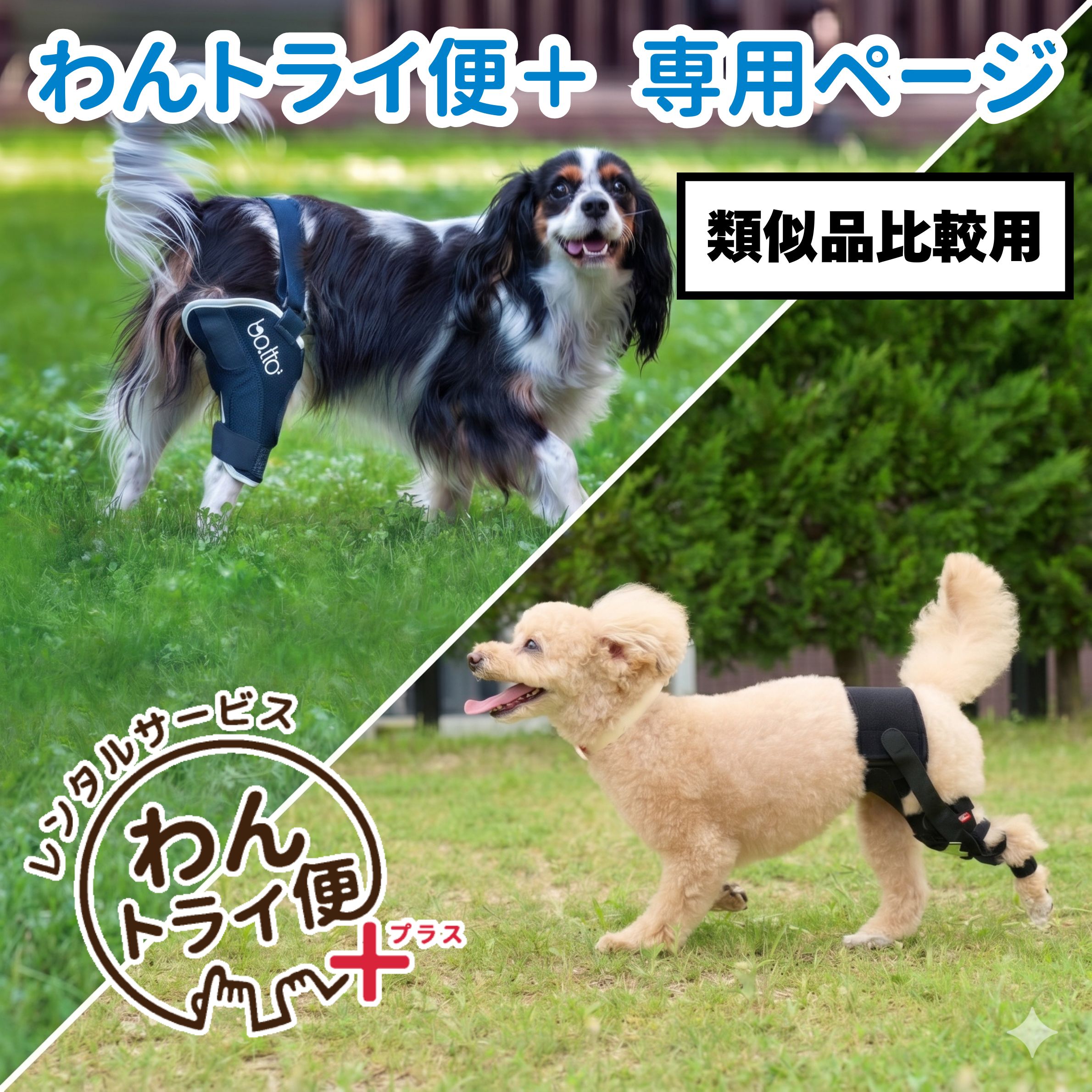 【anifull 公式】 【レンタルサービスわんトライ便+】【アニサポ ニー＆BT JUMP　類似品比較用】 レンタル 小型犬向け アニフル ダイヤ工業 日本製 犬用品 犬用 パテラ 膝蓋骨脱臼 前十字靭帯 しっかり固定 膝パット 膝固定 洗濯可 簡易装着 お散歩 膝サポーター