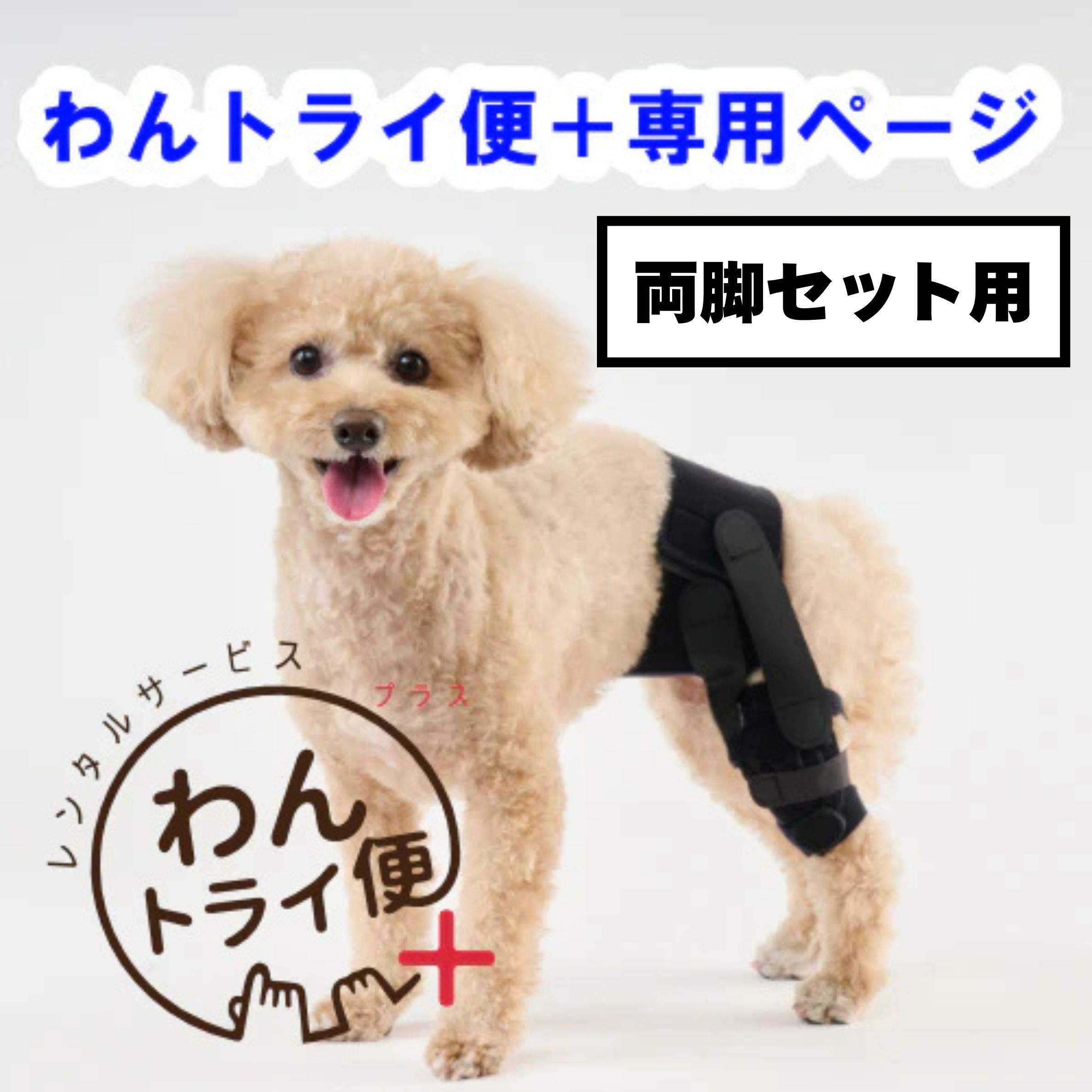 Rakuten - 【anifull 公式】 【レンタルサービスわんトライ便+】【両脚セット用】アニサポ パテラン レンタル 小型犬向け アニフル ダイヤ工業 日本製 犬用品 犬 犬用 パテラ 膝蓋骨脱臼 前十字靭帯 しっかり固定 膝パット 膝固定 洗濯可 簡易装着 お散歩 膝サポーター