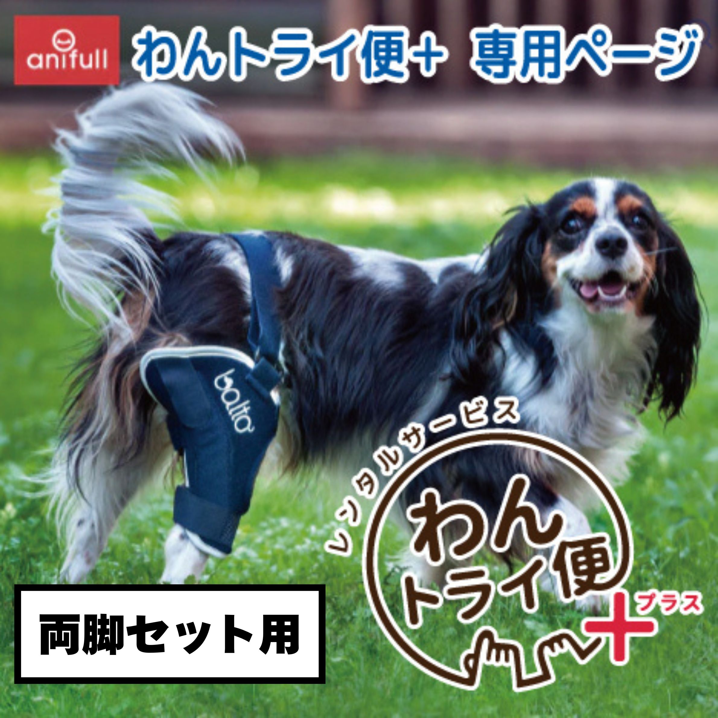 サポーターに内蔵された2本のスプリントで、高い安定感を実現した犬用膝サポーター。■使用素材・ポリウレタン・レーヨン・ポリエステル・ナイロンBT JUMPで愛犬の膝関節のブレを制限します。※パッケージデザインは予告無く変更になる場合があります。※転売目的で購入することはお控えください。※　仮に転売目的での購入と判明した場合には、　売買契約の解除等の措置を取ります。※こちらはレンタルサービス「わんトライ便+」の専用ページです ※ 販売用の商品ページではございませんのでご注意ください。　 ※両脚セット用になりますのでご注意ください。 ※わんトライ便+はクレジット支払のみの対応です。 コレクト(代引き)でご注文確定された場合はキャンセルとなります。 ※期間は【7日間のみ】となります。予めご了承ください。