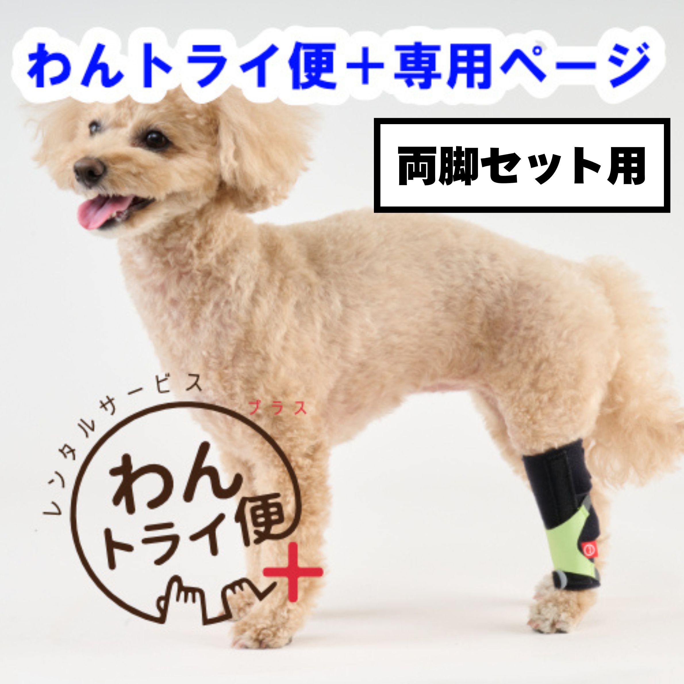 手首足首兼用商品です。 【こんなワンちゃんにおすすめ】 ・手や足を引きずり地面に擦って歩く ・歩き方がフラフラしている ・手首・足首の支えが必要になった 【ポイント】 ★軟性ステー(樹脂ステー)内蔵 関節部分の動揺性を抑えるためにステーを内蔵しています。 ★グーンと伸びる補助ベルト クロス形状のベルトを本体サポーターに取り付けることでサポート力アップ！ 【品番】　【サイズ】…【手根・足根関節周囲】、【体重(参考値)】 908-4301　XL　…　13-15cm、35-50kg 908-4302　L　…　11-13cm、25-35kg 908-4303　M　…　8-11cm、8-25kg 908-4304　S　…　6-8cm、5-8kg 908-4305　XS　…　4.5-7cm、2-5kg※こちらはレンタルサービス「わんトライ便+」の専用ページです ※ 販売用の商品ページではございませんのでご注意ください。　 ※両脚セット用になりますのでご注意ください。 ※わんトライ便+はクレジット支払のみの対応です。 コレクト(代引き)でご注文確定された場合はキャンセルとなります。 ※期間は【7日間のみ】となります。予めご了承ください。