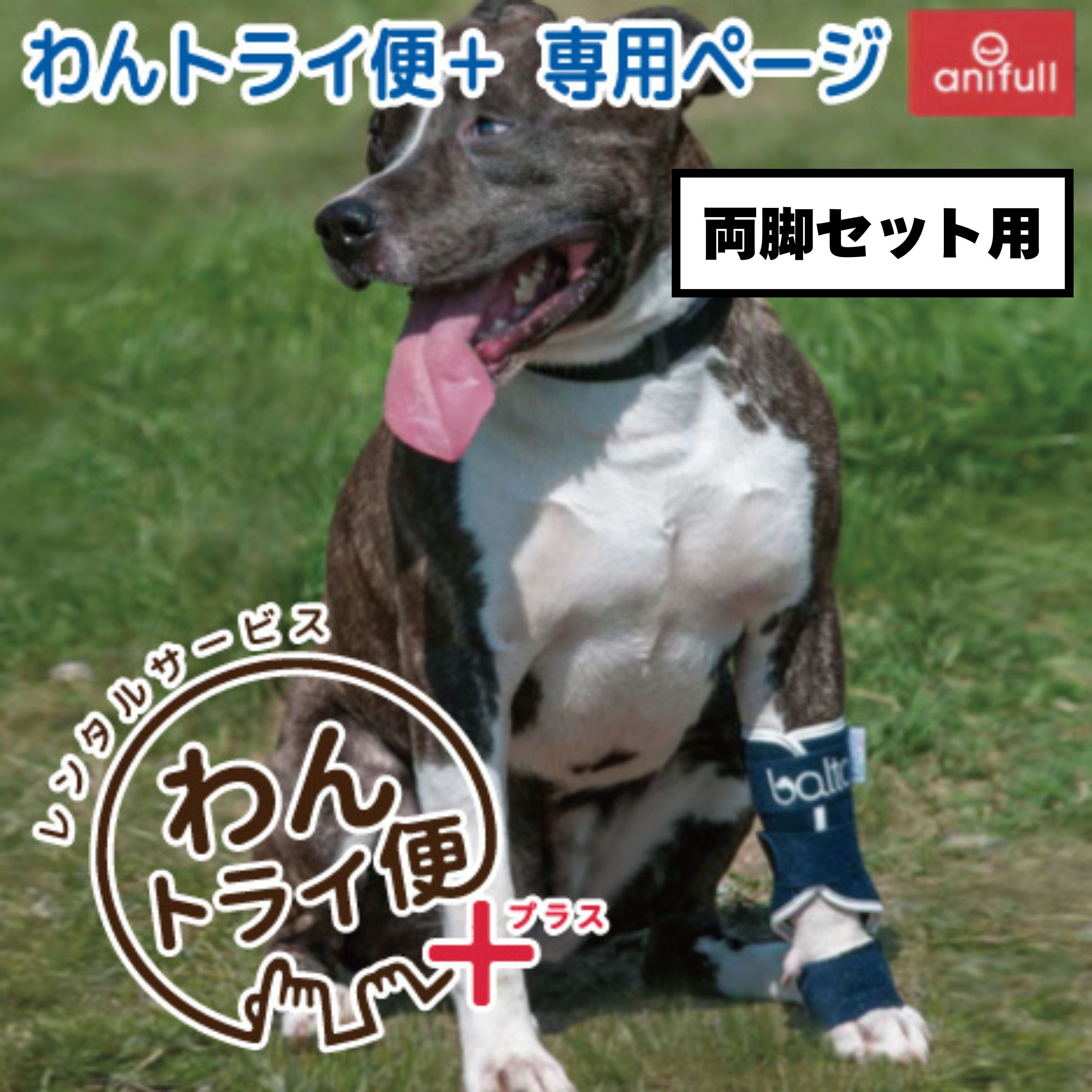 BT SPLINT (手根関節サポーター) ペット用足首サポーター バルト 送料込 犬用品 犬 犬用 手首サポーター 犬用サポーター 足首サポーター 安静 固定 制限 歩行補助 手首 足首 圧迫 関節 角度調整