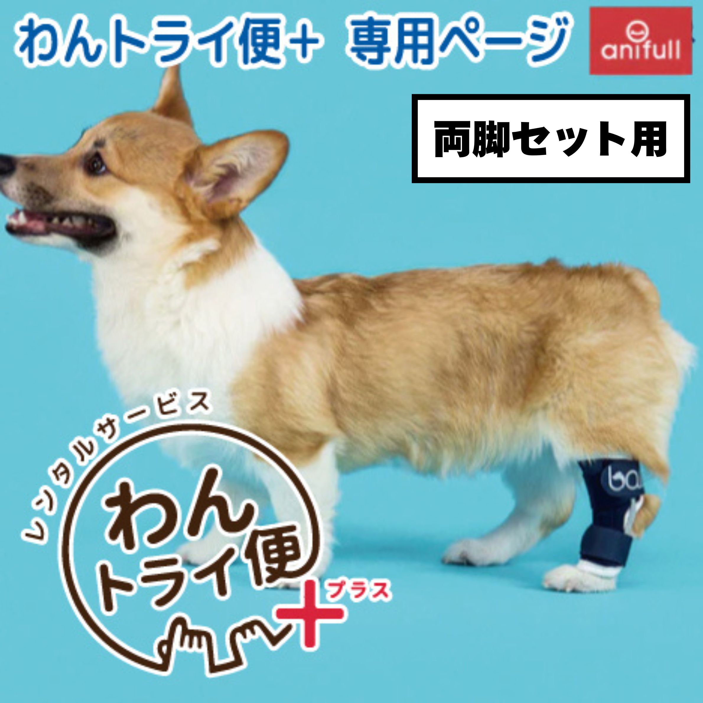 Rakuten - 【anifull 公式】【レンタルサービスわんトライ便+】【両脚セット用】BT HOCK (足根関節サポーター) 送料込 犬 犬用 犬用サポーター 足根関節 足首 後肢 固定 制限 歩行補助 足根関節サポーター 足首サポーター 通気性 ハード ハードタイプ XXS XS S M L