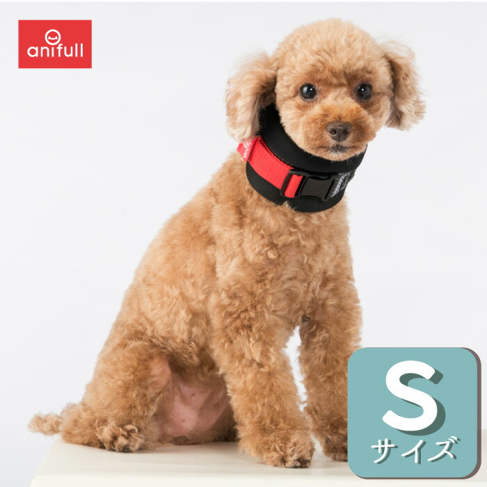 anifull  ˥ ͥå S ˥ե 乩        ݡ  ...