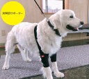 【anifull 公式】 オーダーメイド 犬用 肘関節サポーター アニフル ダイヤ工業 日本製 犬用品 犬 犬用サポーター 犬用肘関節 肘関節サポート 肘関節 ...