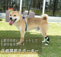 楽天市場 犬用品 足 後ろ足 足根関節 サポーター 固定 制限 底屈 背屈 歩行補助 足首 サポーター 超小型犬用 オーダーメイド 日本製 ダイヤ工業 Anifull アニフル 愛犬と一緒に歩くを叶えるanifull 楽天市場 犬用品 足 後ろ足 足根関節 サポーター 固定 制限 底屈 背屈 歩行補助 足首 サポーター 超小型犬用 オーダーメイド 日本製 ダイヤ工業 Anifull アニフル 愛犬と一緒に歩くを叶えるanifull