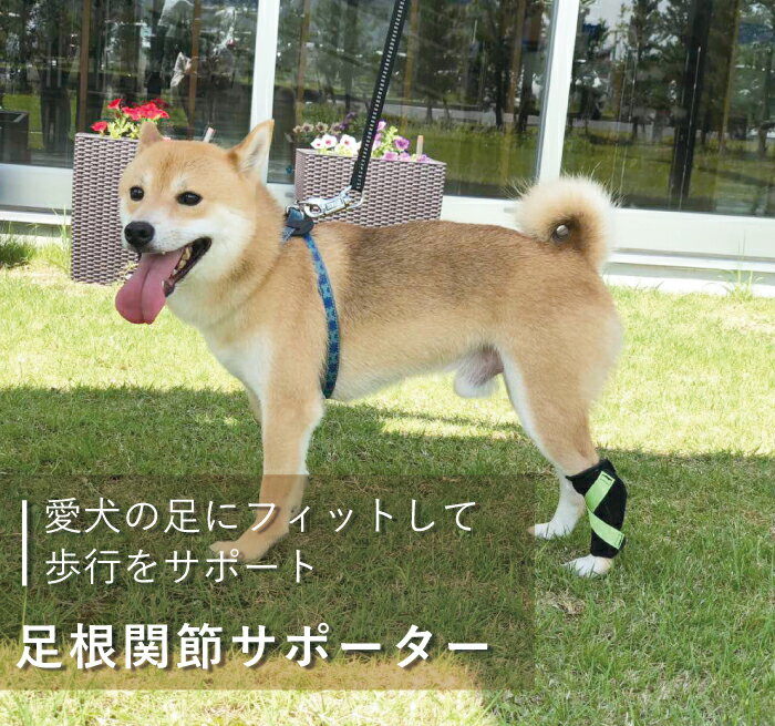 楽天市場 犬用品 足 後ろ足 足根関節 サポーター 固定 制限 底屈 背屈 歩行補助 足首 サポーター 超小型犬用 オーダーメイド 日本製 ダイヤ工業 Anifull アニフル 愛犬と一緒に歩くを叶えるanifull