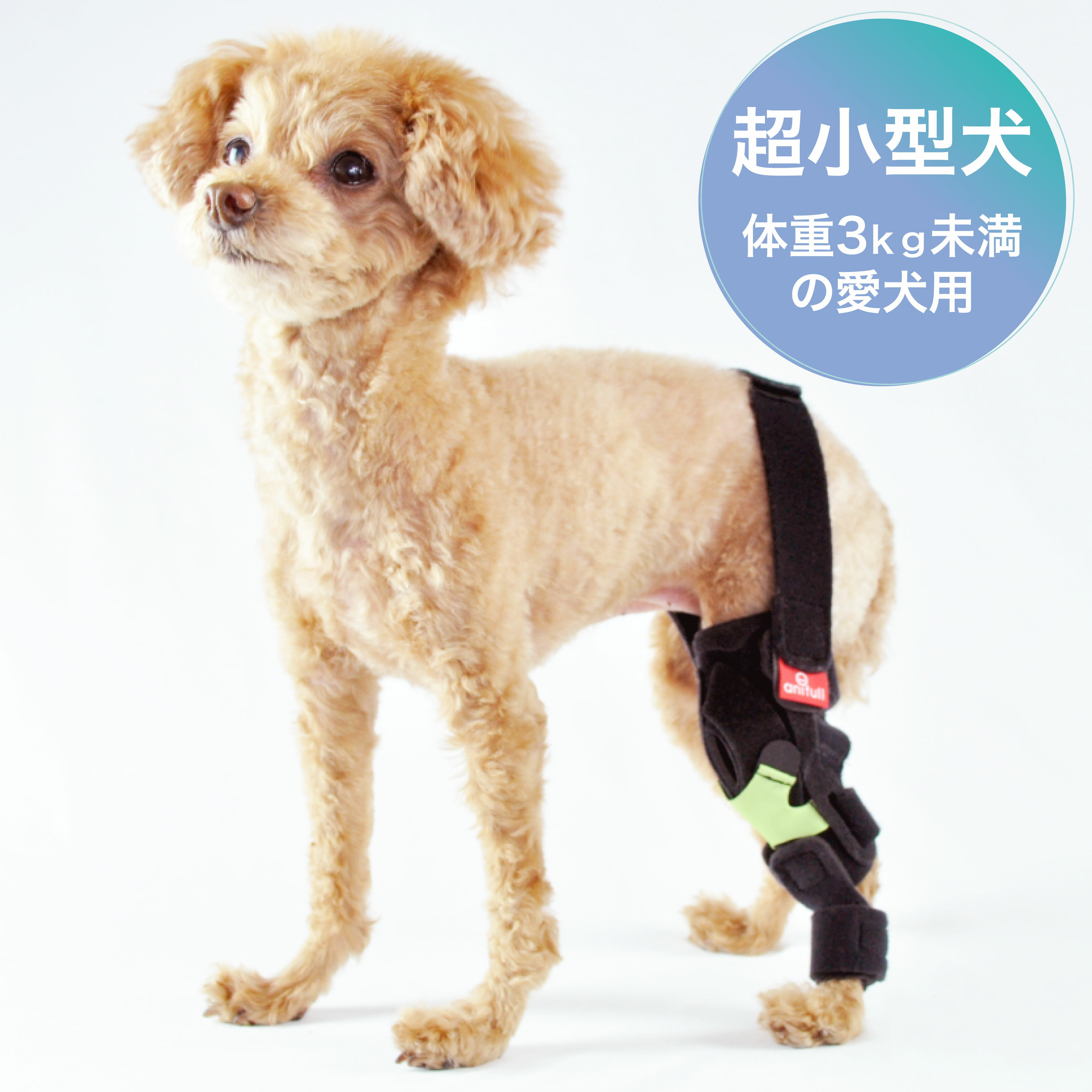 楽天愛犬と一緒に歩くを叶えるanifull【anifull 公式】 オーダーメイド 犬用 膝サポーター 前十字靭帯用 ハードタイプ アニフル ダイヤ工業 日本製 犬 犬用サポーター 犬用膝サポーター 膝関節サポーター ケージレスト 安静 固定 制限 歩行補助 後足 膝 前十字靭帯 フルオーダー