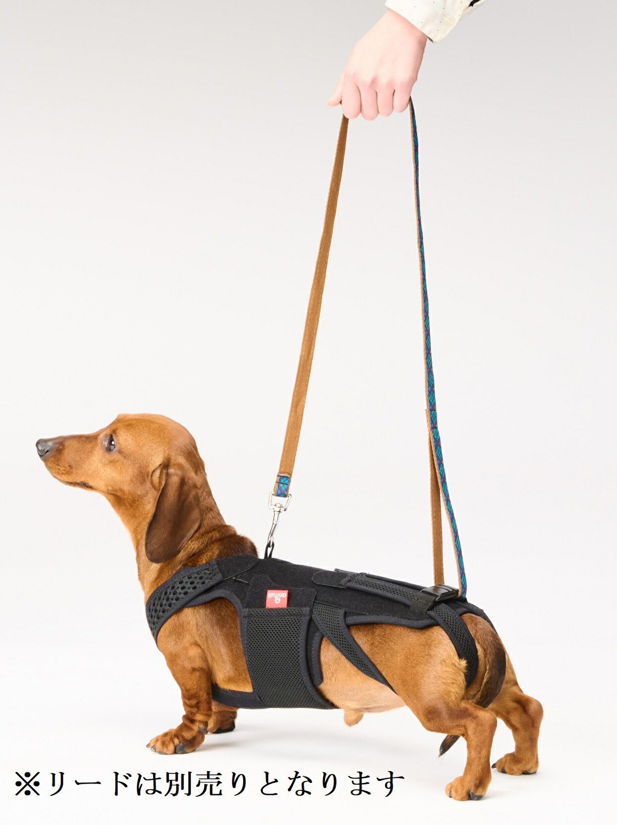 医療用品メーカーが開発 犬用品 犬用コルセット ハーネス 割引購入 術後 介護 わんコル ダイヤ工業 アニフル 日本製 With Anifull Mサイズ