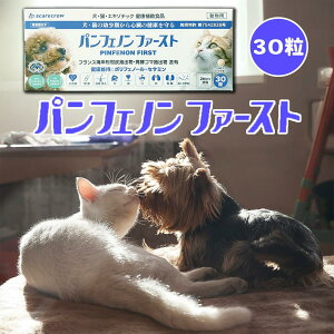 パンフェノン ファースト 動物用健康補助食品 30粒 お試しサイズ 心臓 咳 気管 僧帽弁 弁膜症 スケアクロウ 【賞味期限:2027年3月以降】