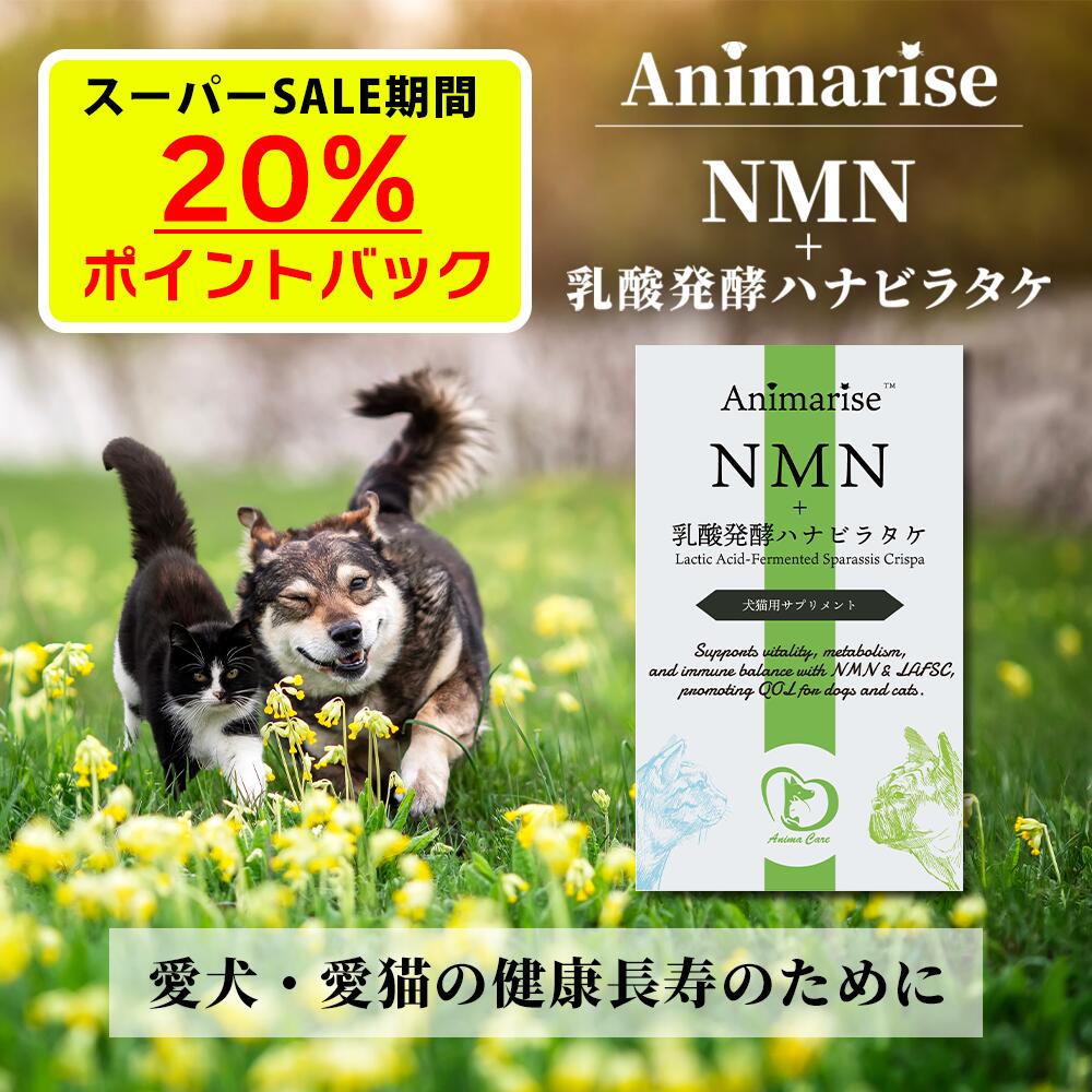【動物病院取扱】Animarise NMN+ (アニマライズ) 乳酸発酵ハナビラタケ 犬 猫 老犬 老猫 サプリ MICRONMN ペット用NMN 乳酸菌 ハナビラタケ ペット ハナビラタケ 健康 免疫 皮膚 腫瘍 白内 β-NMN 純度99% 多頭買い 小型犬 大型犬 花びらたけ アニマケア