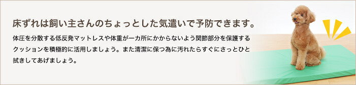 ペット介護用品専門店 アニマケアの【送料無料】 床ずれ防止 防水マットレス Mサイズ (グリーン) LaLaWalk シニア犬 犬介護 トンボ with｜アングル3