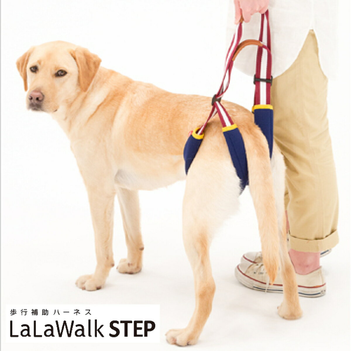 中型犬 大型犬 介護用ハーネス 歩行補助ハーネス LaLaWalk STEP ララウォーク ステップ 後足用 アメカジ / ゴールデンレトリバー ラブラドール グレートデーン シェパード 柴犬 コーギー シニア犬 犬介護 トンボ with 品番：2TE0001