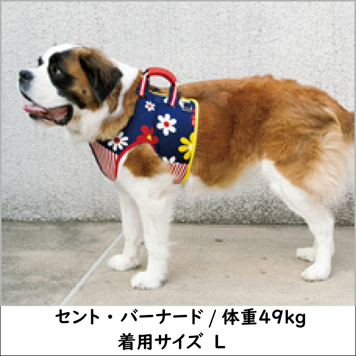 リハビリ トレーニングに Lalawalkの介助ベスト チェック柄 介護ハーネス Lalawalk 介助ベスト チェック 中型犬 大型犬用 介護用品 歩行補助 ゴールデンレトリバー ラブラドール グレートデーン シニア犬 シベリアンハスキー トンボ 犬介護 品番 2ta0056 ダルメシアン