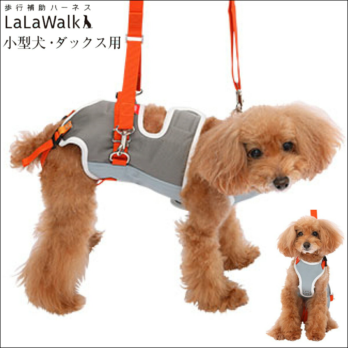 【最大2000円OFFクーポン配布】歩行補助ハーネス LaLaWalk 小型犬 ダックス グレー×オレンジ / ダックスフンド チワワ トイプードル シーズー ミニチュアダックス シュナウザー ポメラニアン コーギー ヘルニア 介護ハーネス トンボ with