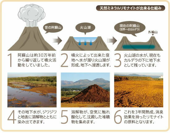 ������̵���� �ˤ�󤳤Υ��ʥ��� 250g ������ �ޤ��������� / �ե� �ν� Ǣ�� ���ˤʤ�ͥ������� �ͥ� ����� [���ꥨ��Ⱦ���]