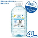 ≪最大2000円OFFクーポン配布≫PH バランス キャット ウォーター (4L) CAT WATER 猫 水 ペット 天然水 水分補給
